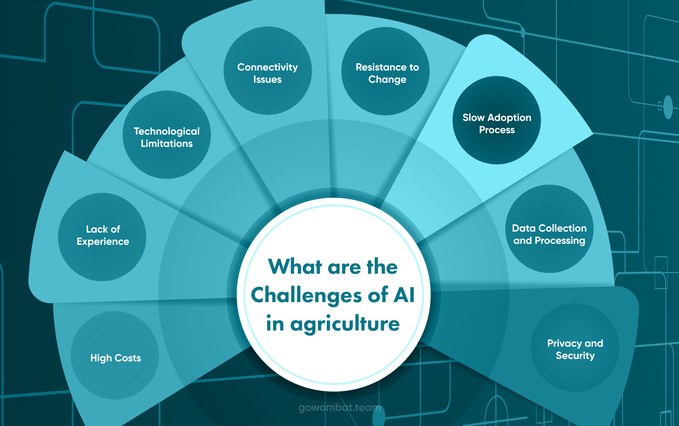 What are the Challenges of AI in agriculture