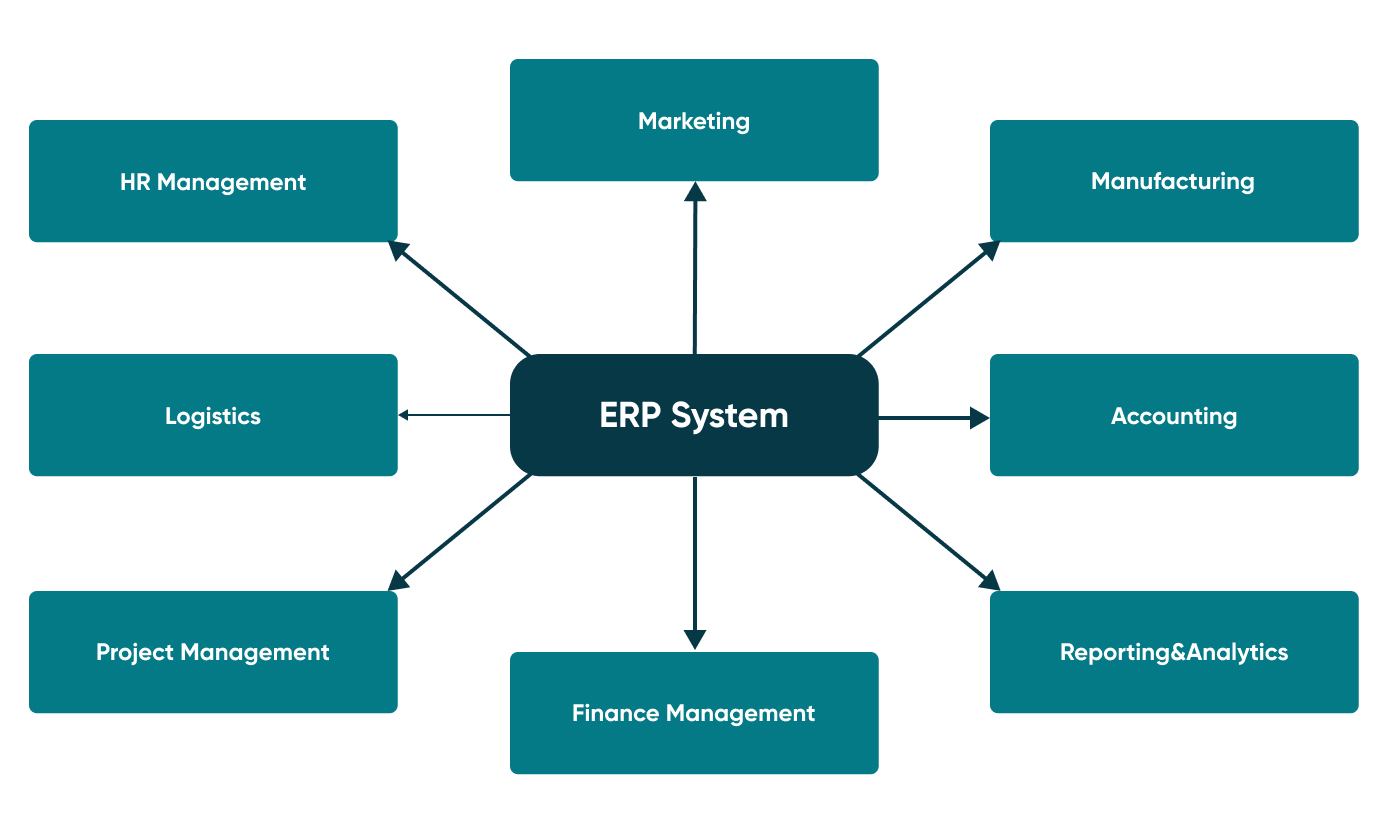 An outline of the effects of a professional ERP system. Take a look into the benefits and steps required.