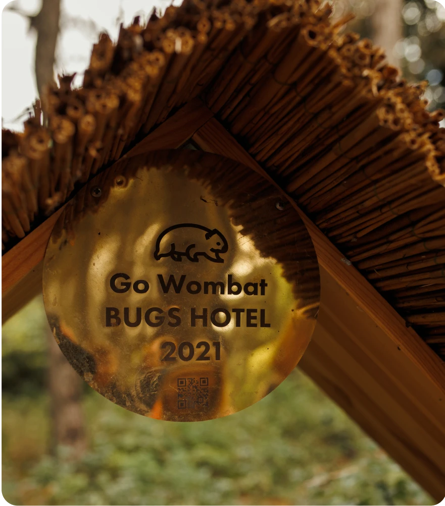 photo-bug-hotel-5